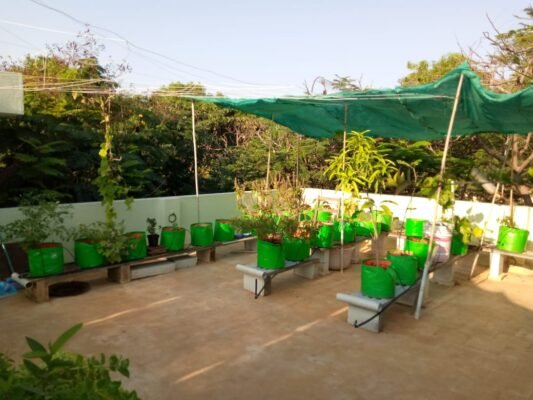 terrace garden kit online
